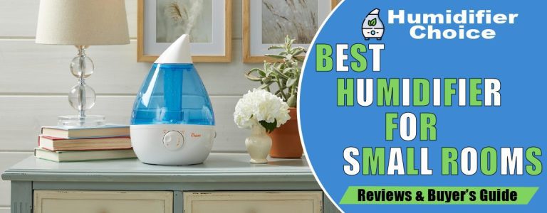 Best Humidifiers for Small Rooms