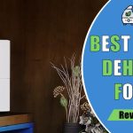 Best Dehumidifier for Bedroom