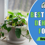 7 Best Dehumidifier for Basement in 2026| For a Dry & Mold-Free Space Best Dehumidifier for basement