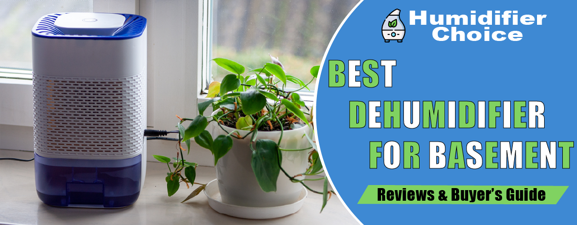 Best Dehumidifier for basement