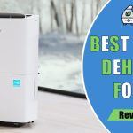 Best dehumidifier for bathroom