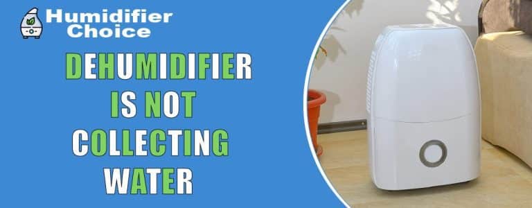 Dehumidifier is not collection water