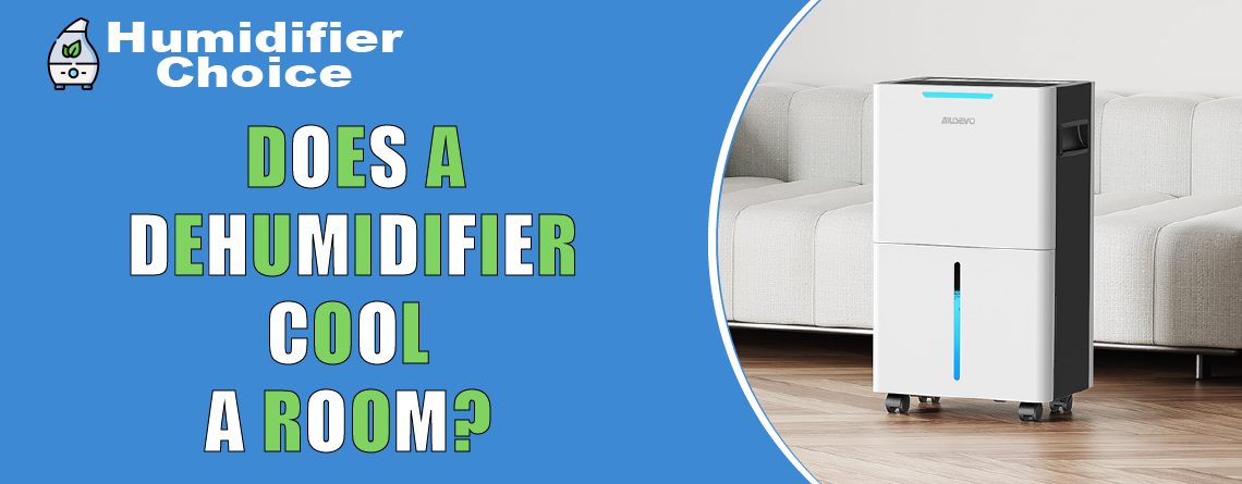 Does a Dehumidifier Cool A Room