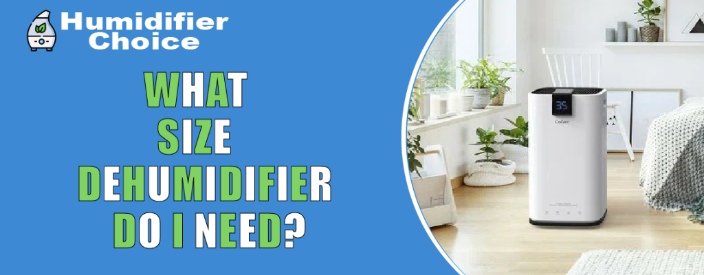 What Size Dehumidifier Do i Need